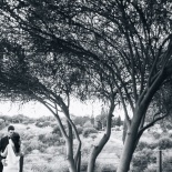 Изысканная свадьба для двоих среди оливковых деревьев на закате