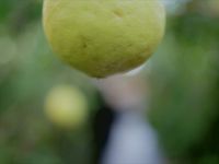 Фотограф Данила Осипов, #84521