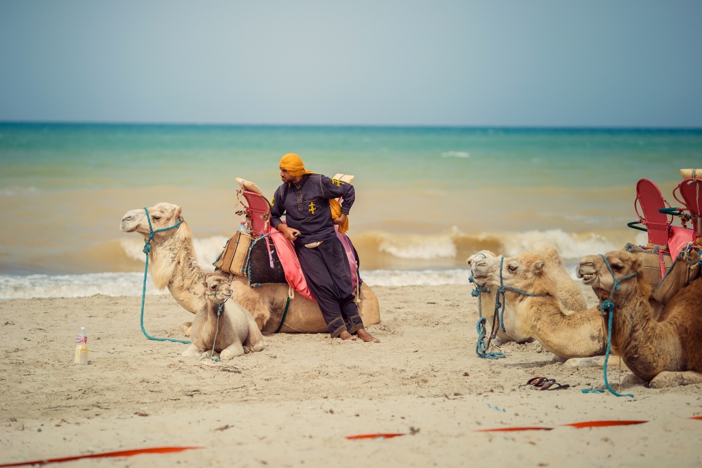 Тунис 2017, Тунис, Фотограф Светлана Светленькая, #188443