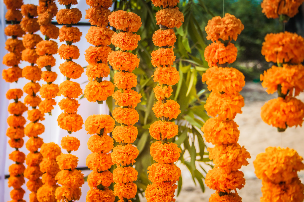 Свадьба в Гоа, Индия, Фотограф Skazka Story, #365514