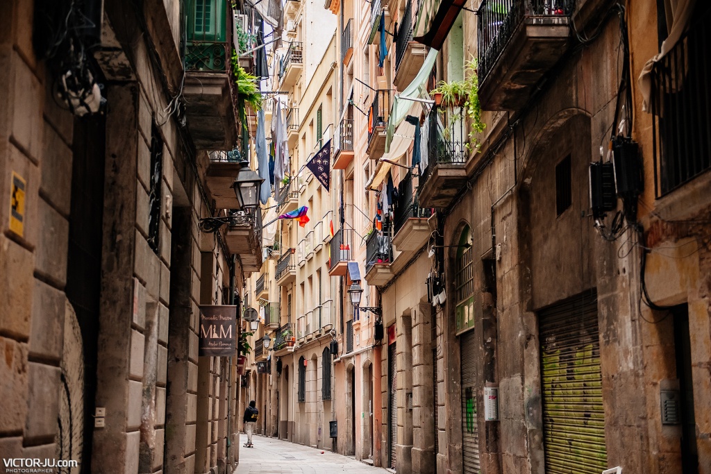 Индивидуальная фотосессия в Барселоне для Марины, Испания, Фотограф Виктор Здвижков, #210888