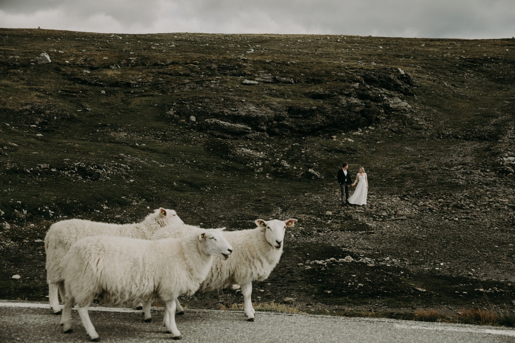 Свадебная фотосессия в Норвегии. В поисках тролей, Норвегия, Фотограф Александра Шульга, #239794