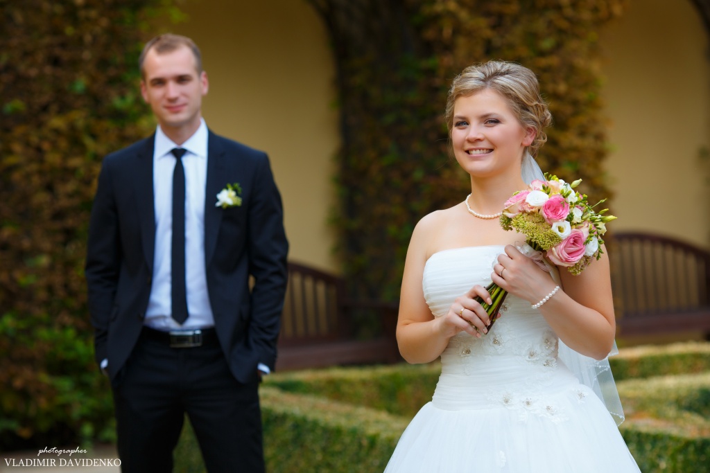 Свадьба Сергея и Юлии, Чехия, Фотограф Владимир Давиденко, #250227