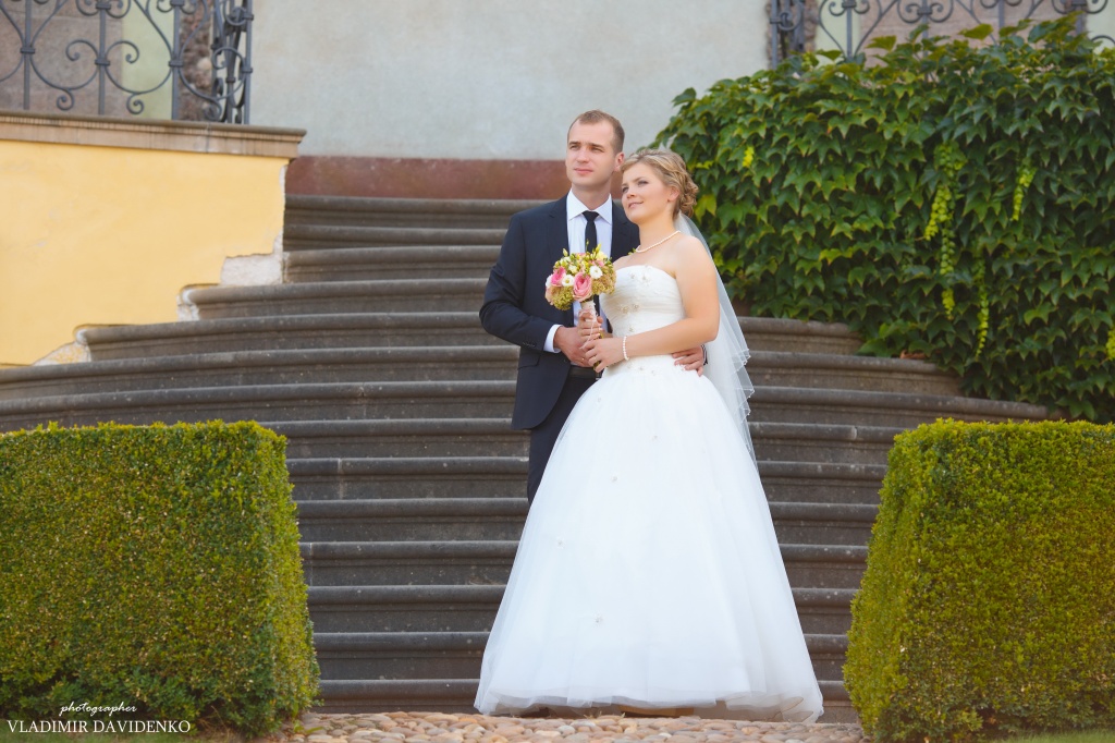 Свадьба Сергея и Юлии, Чехия, Фотограф Владимир Давиденко, #250229