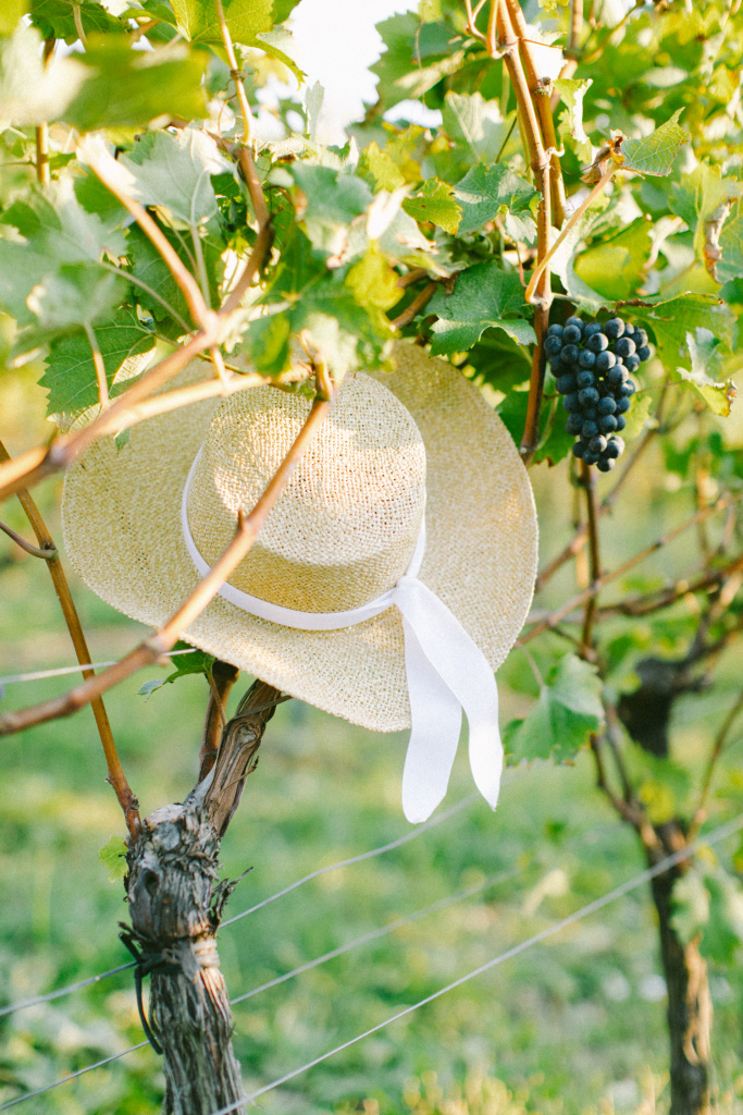 Love story в виноградниках, Италия, Фотограф Наталья Онищенко, #270690