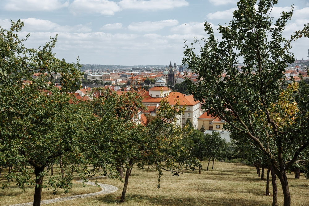 Фотосессия в Праге, Чехия, Фотограф Тоня Морозова, #284272