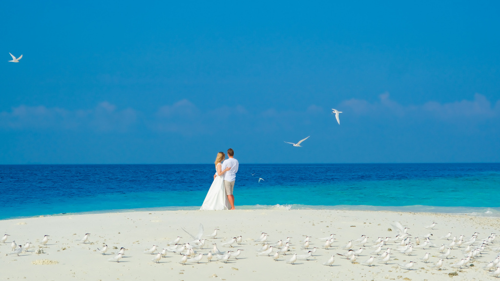 Свадебная фотосессия на Мальдивах, Мальдивы, Фотограф Ирина Мельник, #388686
