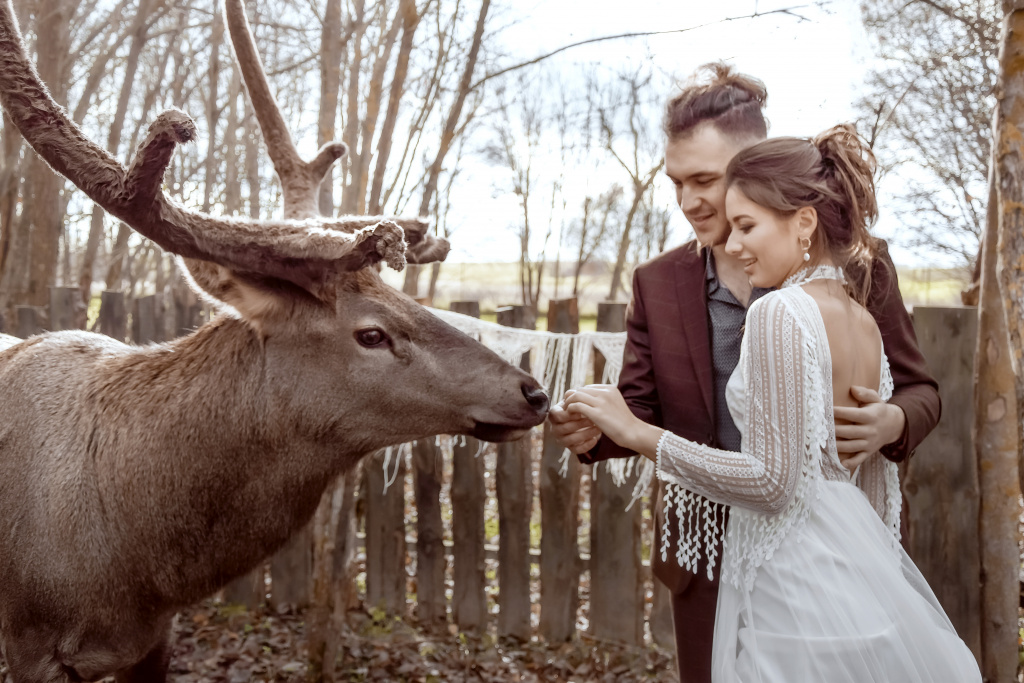 Свадебная фотосессия с оленем