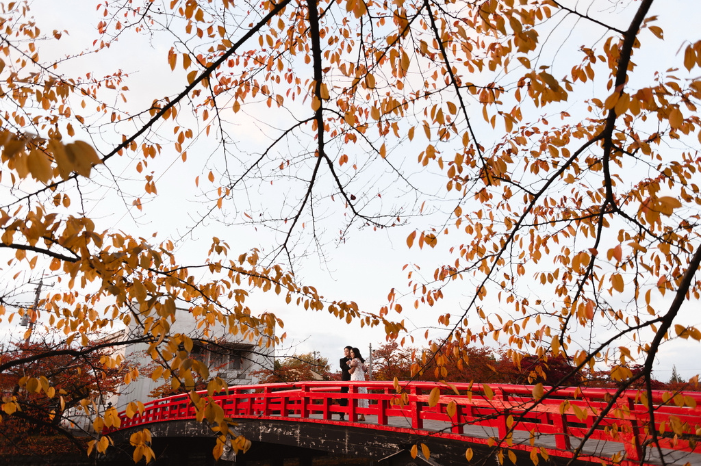 Хиросаки (Япония) фотосессия в стиле Лавстори, Япония, Фотограф Пётр Губанов, #399809