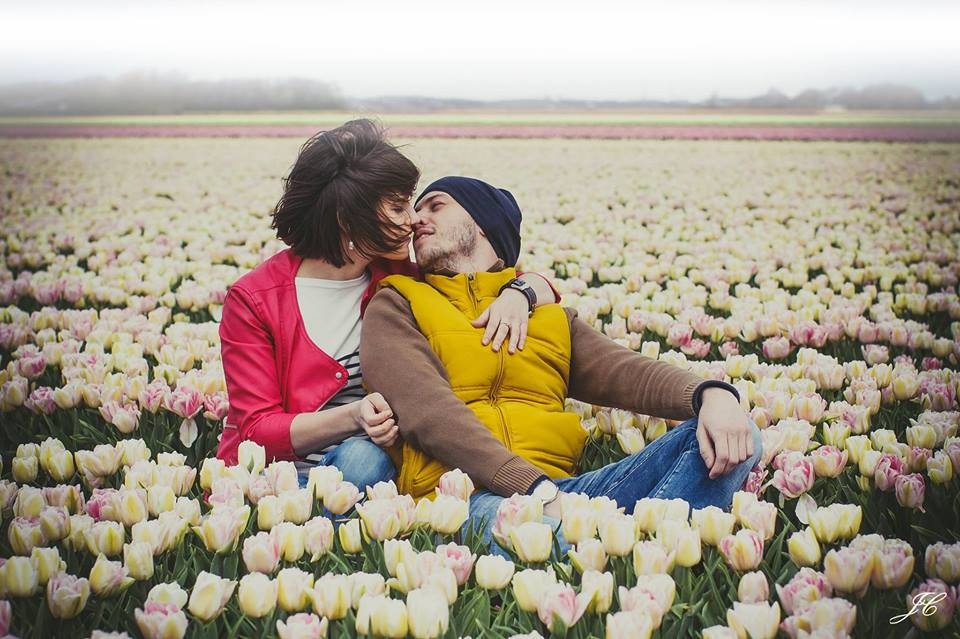 Любовь в тюльпановых полях.