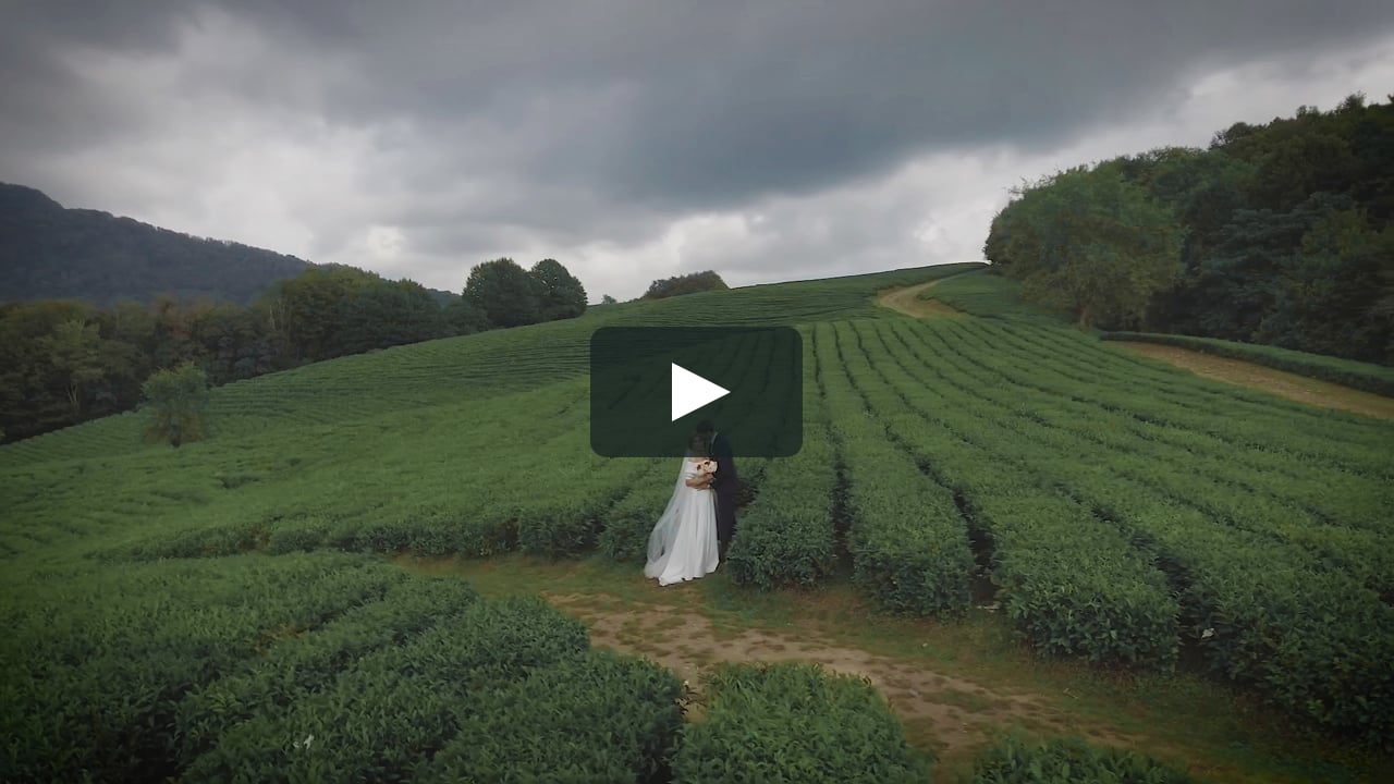 Свадебное видео в Сочи Roman & Aleksandra
