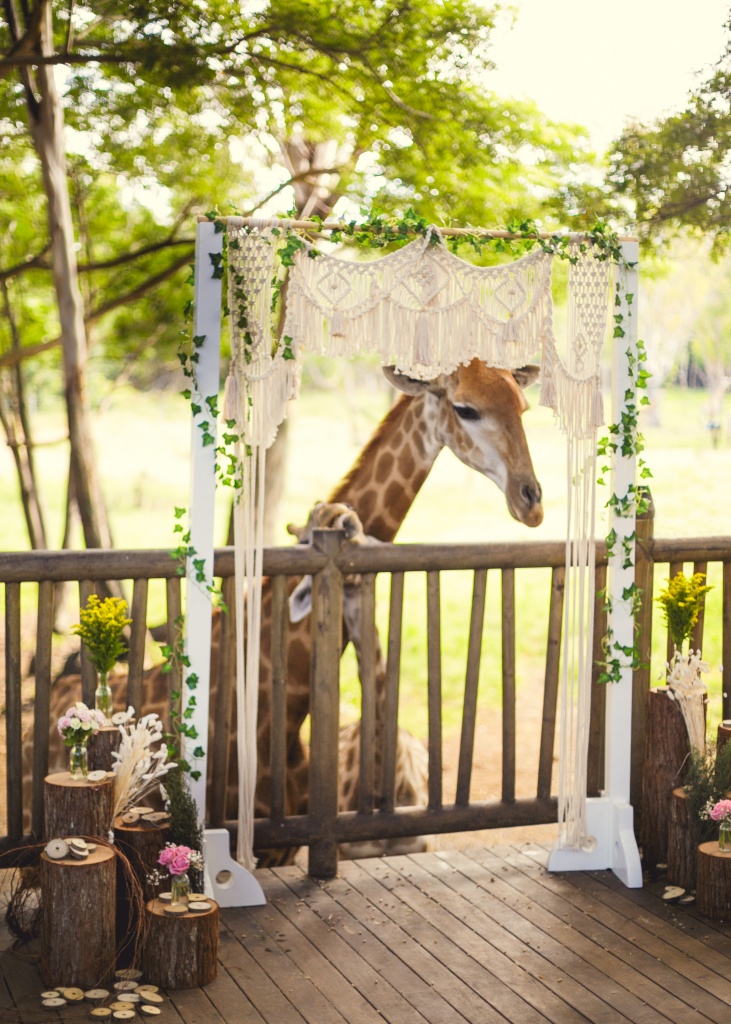 Свадебная церемония на Маврикии с жирафами
