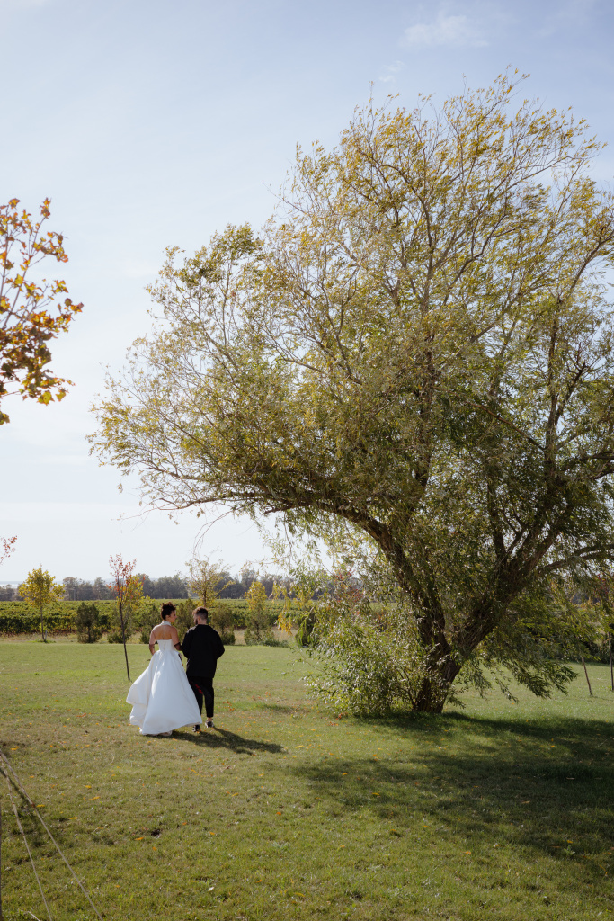 Свадебная прогулка возле виноградников