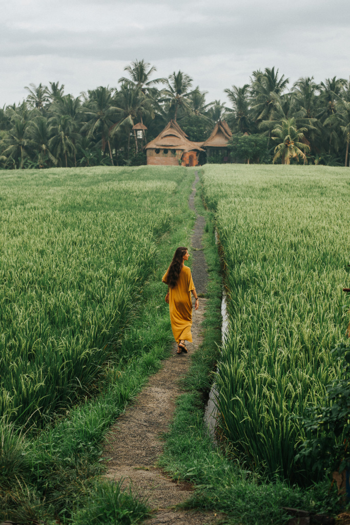 В рисовых полях на Бали