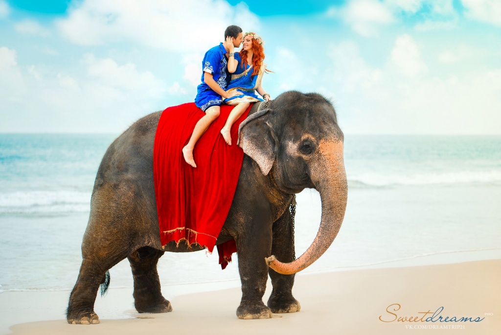 Свадебная фотосессия в национальном стиле на Шри-ланке со слоном