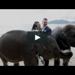 Wedding in Thailand with elephants, dinner and fire show. Chantelle & Dean