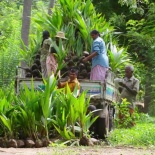 Шри Ланка видео self-drive Sri Lanka