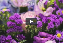 L & N, wedding (Santorini, Greece)