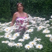 Фотограф Светлана Маркина | Отзывы