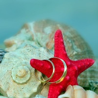 Фотограф Алёна Делина | Отзывы