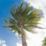 Фотограф Майя Никитина | Отзывы