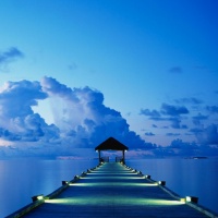 Фотограф Ирина Зайчикова | Отзывы