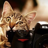 Фотограф Алексей Шехин | Отзывы