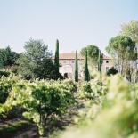 Wedding in Provence vineyard