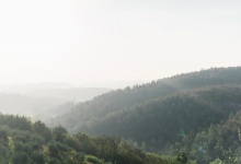 Свадьба в Тоскане