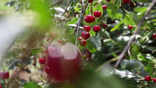Предложения фотографов за границей