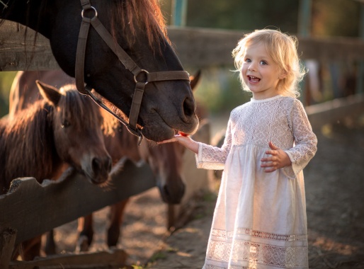 Предложения фотографов за границей