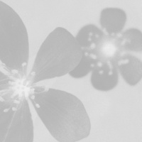 Фотограф Ира Кононенко | Отзывы